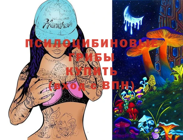 шишки Протвино