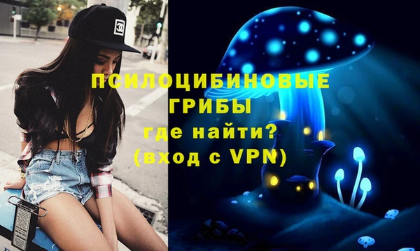 экстази Алексин